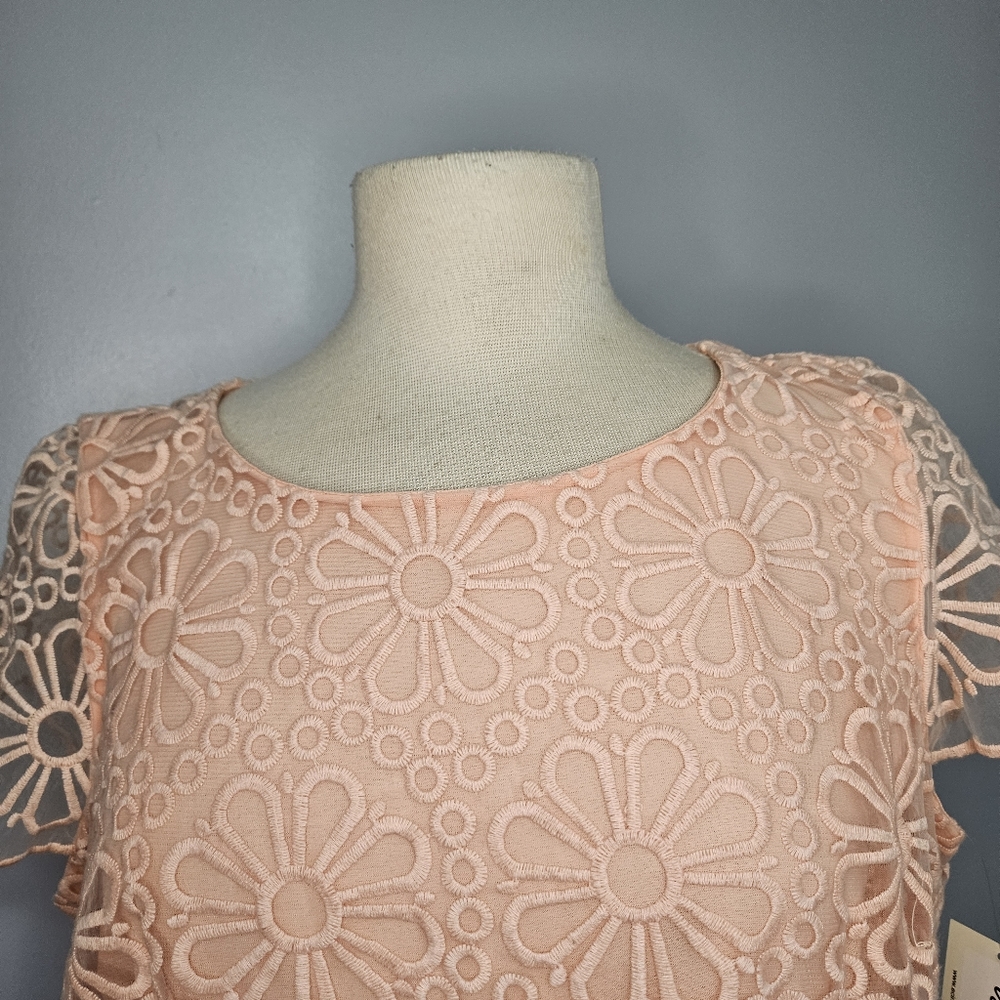 Lace Dress Size 14 New - Picture 15 of 16